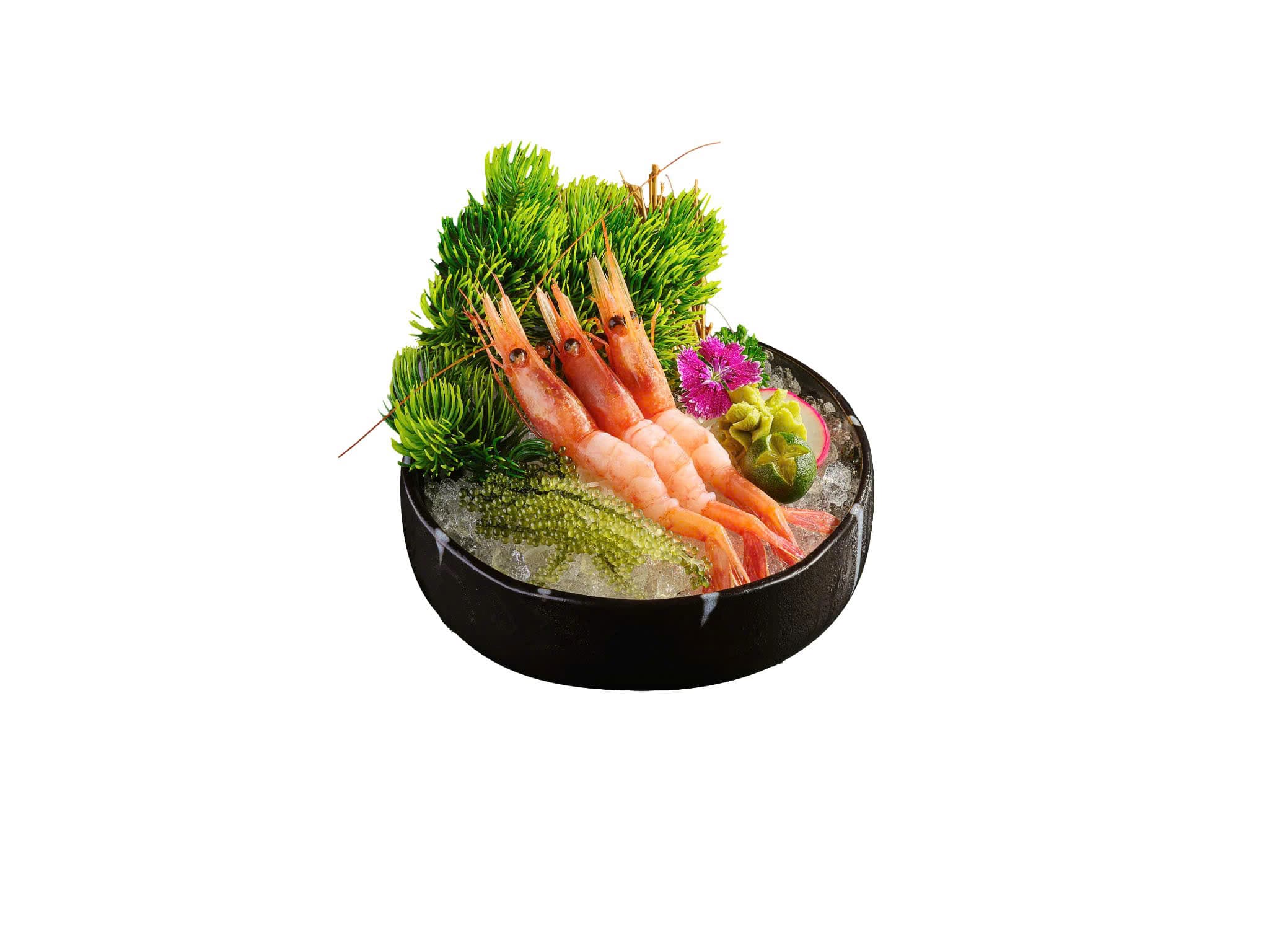 Sashimi Tôm Ngọt